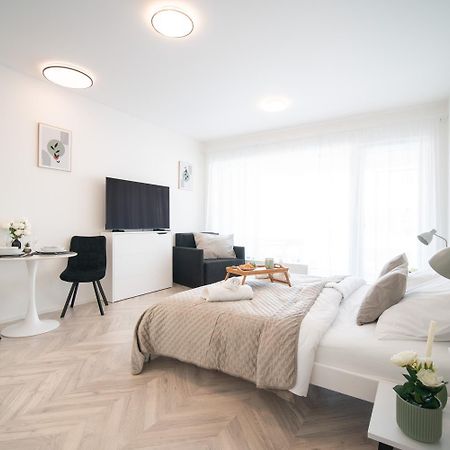 City Relax Apartments With Free Parking, 10 Mins Walk To City Centre Brno Exteriör bild